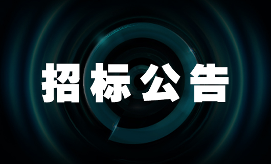 2024年广东星空app官网登录入口(官方)官方网站,IOS/安卓通用版科技集团股份有限公司干线物流服务投标公告